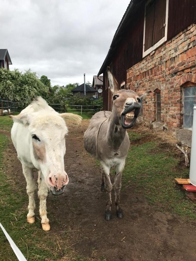 Stuga Asnagard Torsby Exterior foto